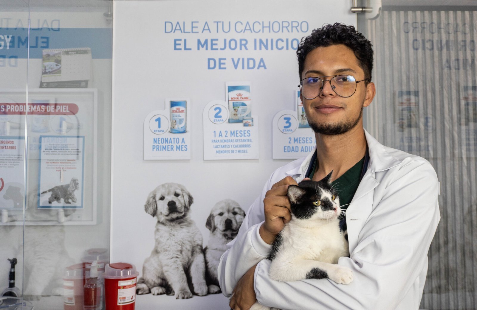 Servicios
